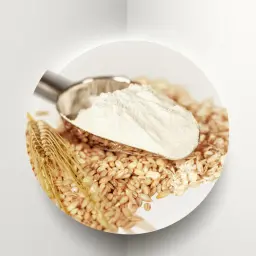 شعير مطحون